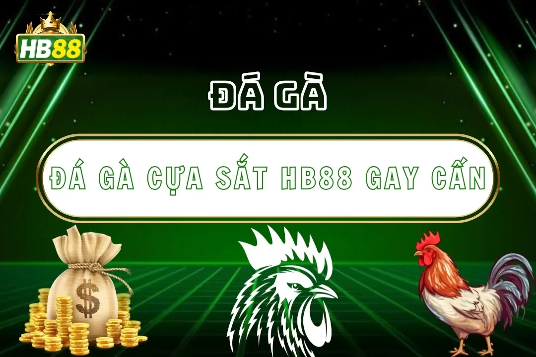 Đá Gà Cựa Sắt Hb88