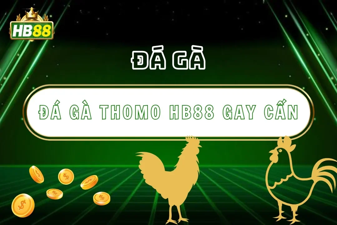 Đá Gà Thomo Hb88