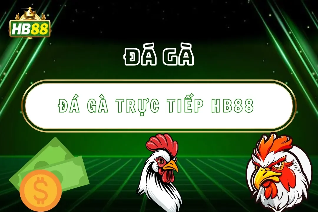 Đá Gà Trực Tiếp Hb88