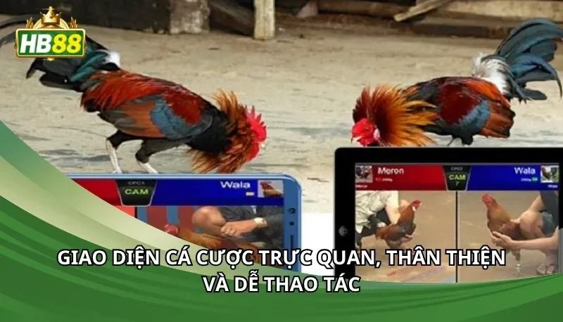 Giao diện cá cược trực quan, thân thiện và dễ thao tác