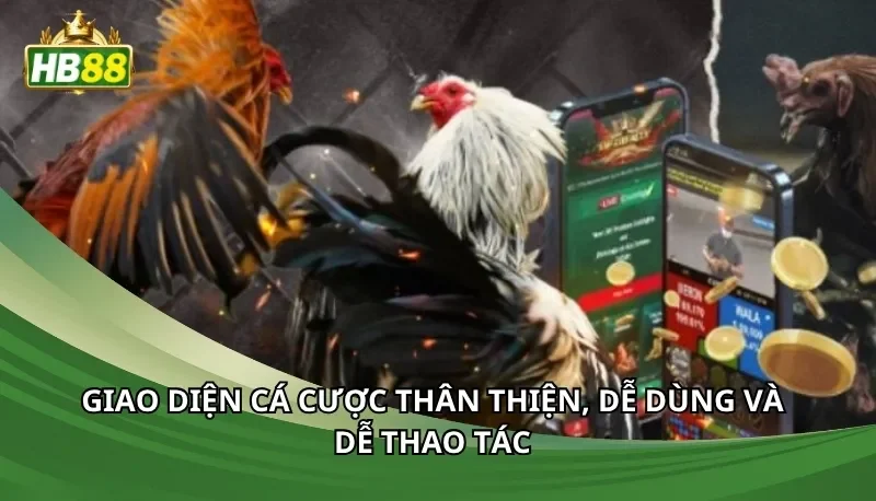 Giao diện cá cược thân thiện, dễ dùng và dễ thao tác