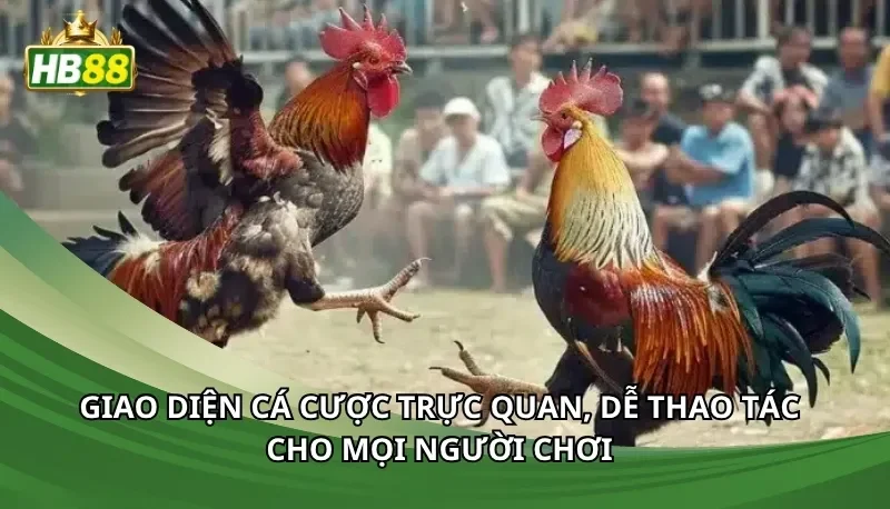 Giao diện cá cược trực quan, dễ thao tác cho mọi người chơi