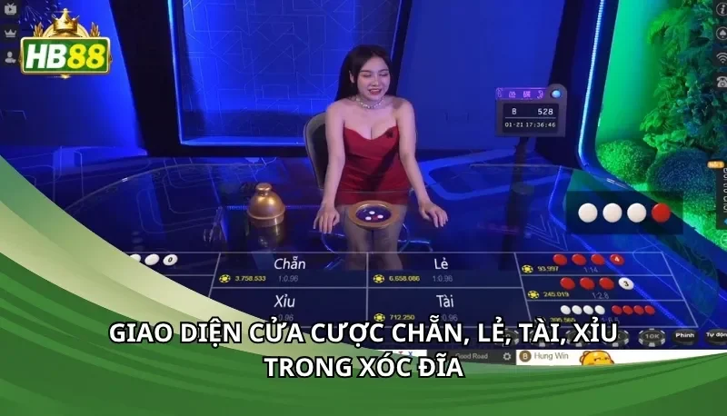 Giao diện cửa cược chẵn, lẻ, tài, xỉu trong xóc đĩa