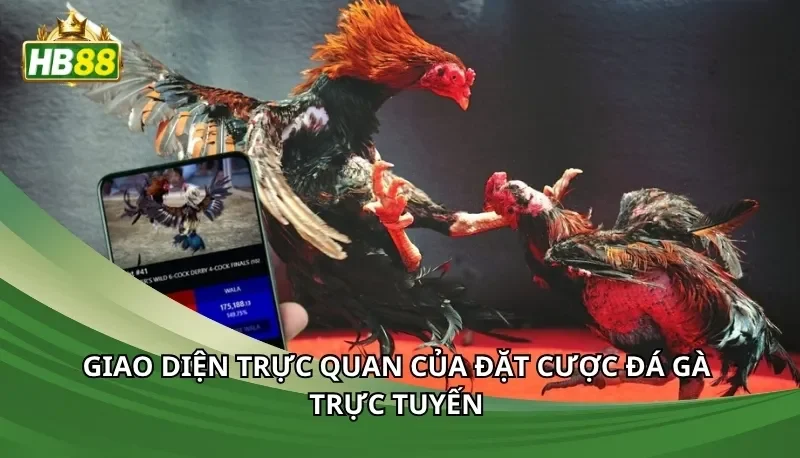 Giao diện trực quan của đặt cược đá gà trực tuyến