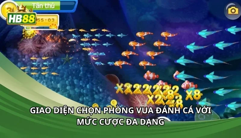 Giao diện chọn phòng vua đánh cá với mức cược đa dạng