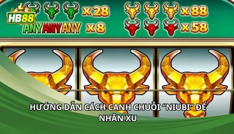 Hướng dẫn cách canh chuỗi “Niubi” để nhân xu