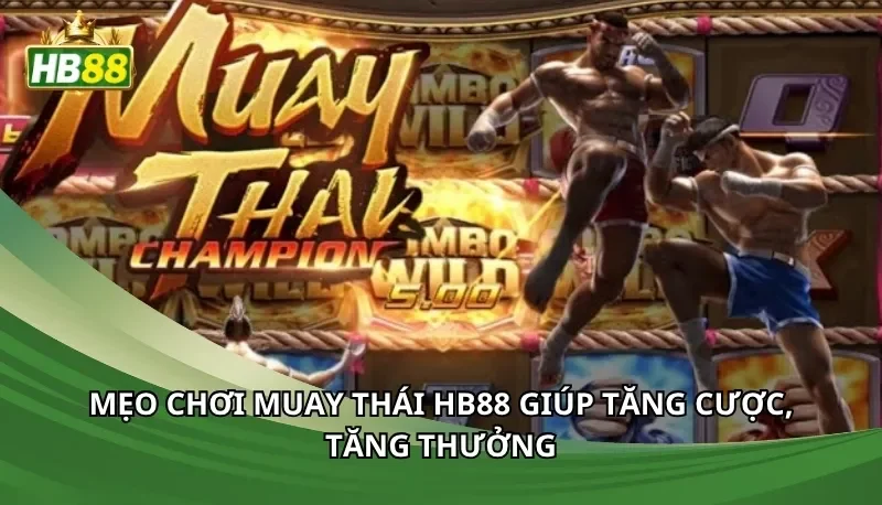 Mẹo chơi Muay Thái Hb88 giúp tăng cược, tăng thưởng
