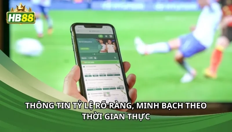 Thông tin tỷ lệ rõ ràng, minh bạch theo thời gian thực