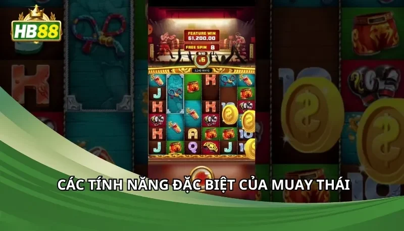 Các tính năng đặc biệt của Muay Thái