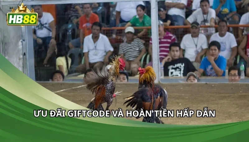 Ưu đãi giftcode và hoàn tiền hấp dẫn
