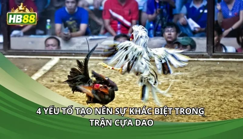 4 yếu tố tạo nên sự khác biệt trong trận cựa dao